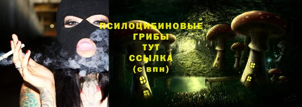 стафф Медногорск