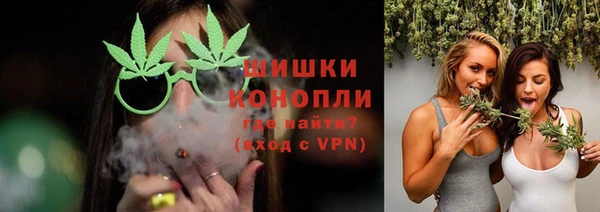 стафф Медногорск