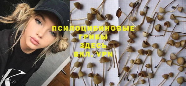 стафф Медногорск