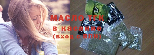 индика Магас